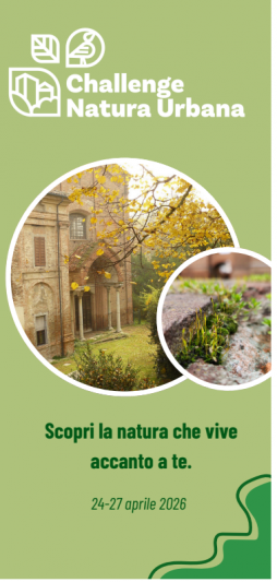 Copertina CNC 2026